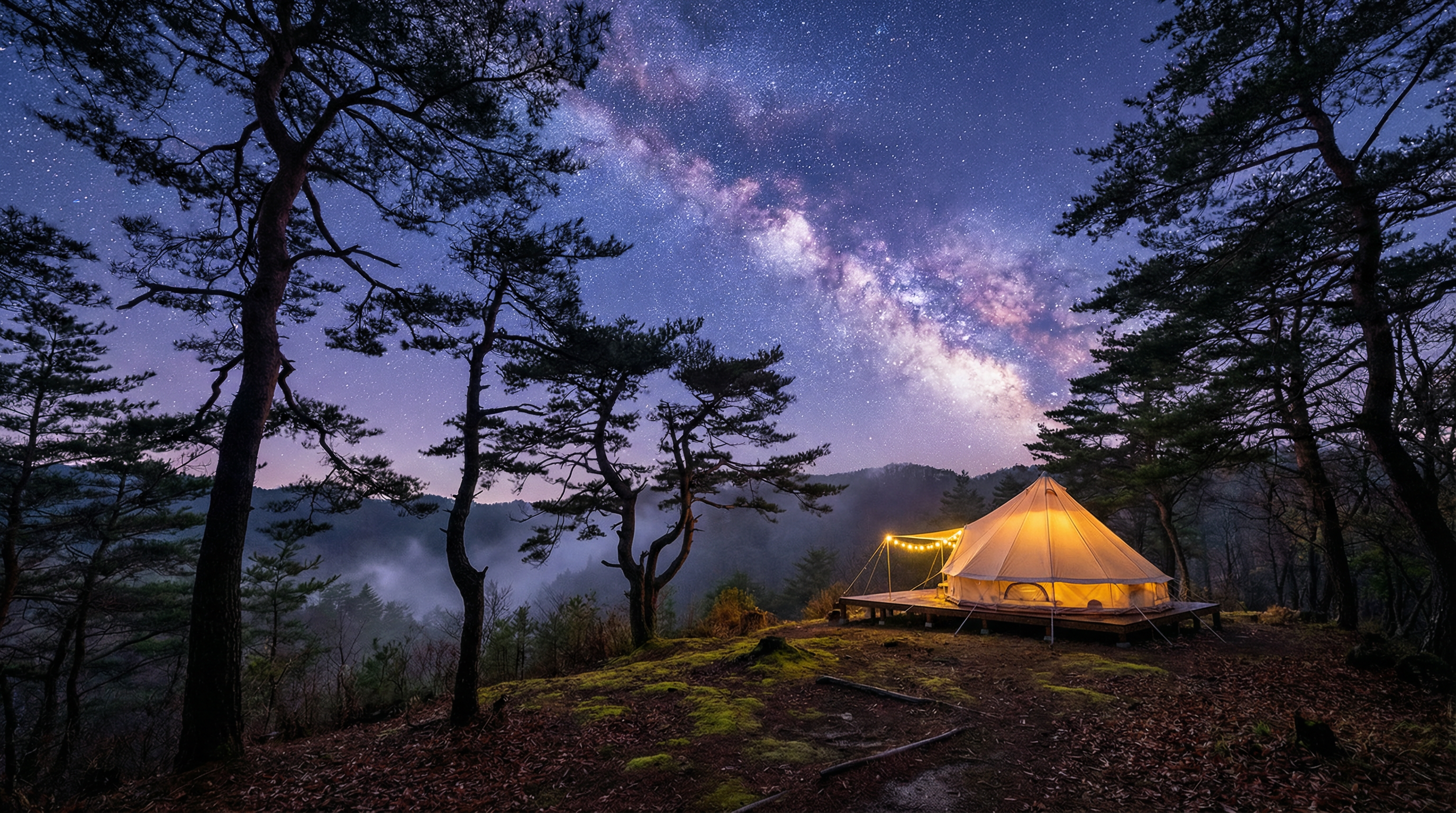 Start Your Forest Adventure